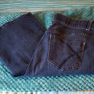 Lane Bryant Boot Cut Jean's Size 20